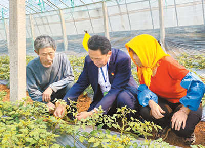 山东青岛体系化加强党员队伍建设