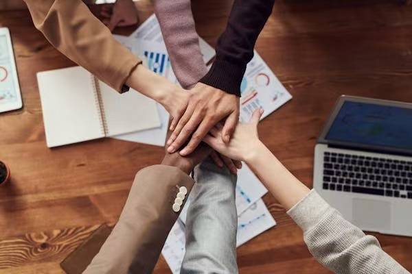 企业人力资源结|利来老牌娱乐官网构策略与实践2025篇