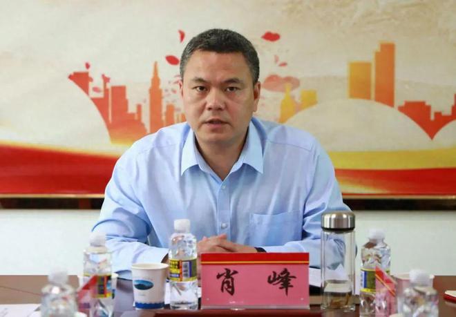 男子举报政法委书记出轨自己老婆聊天记录曝光
